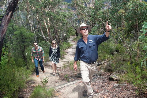 Small-Group Blue Mountains Tour With Bush Walks And Featherdale Wildlife Park - SA Accommodation 0