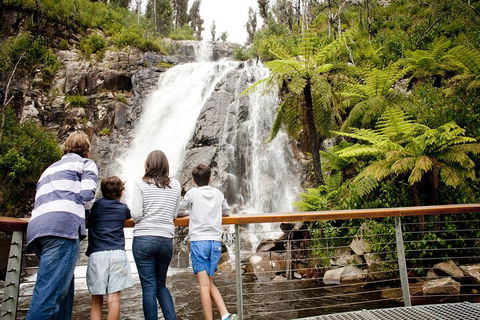 Melbourne Snow Trip To Lake Mountain With Chocolates Visit To A Waterfall - SA Accommodation 3