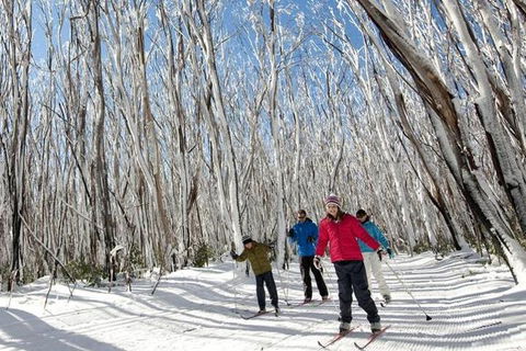 Melbourne Snow Trip To Lake Mountain With Chocolates Visit To A Waterfall - SA Accommodation 5