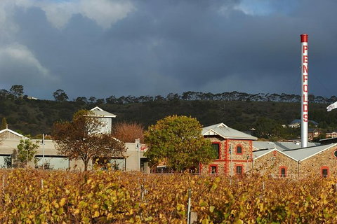 Penfolds Magill Estate Iconic Experience - SA Accommodation 3