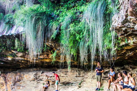 Sunset Blue Mountains Wilderness & Wildlife Tour Without The Crowds - SA Accommodation 1