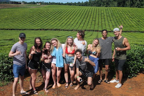 Atherton Tablelands Waterfalls Tour From Cairns - SA Accommodation 1