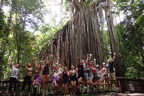 Atherton Tablelands Waterfalls Tour From Cairns - SA Accommodation 5
