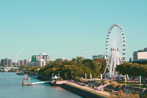 Brisbane Like A Local Customized Private Tour - SA Accommodation 1