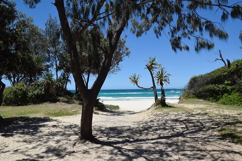 Brisbane Like A Local Customized Private Tour - SA Accommodation 3