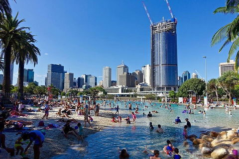 Brisbane Like A Local Customized Private Tour - SA Accommodation 5