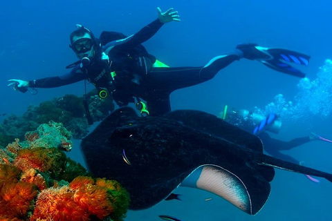 Scuba Dive The S.S. Yongala Wreck On The Great Barrier Reef. - SA Accommodation 0