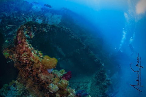 Scuba Dive The S.S. Yongala Wreck On The Great Barrier Reef. - SA Accommodation 3