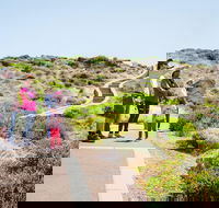 Margaret River Coastal and Wildlife Eco Trip from Busselton or Dunsborough - SA Accommodation