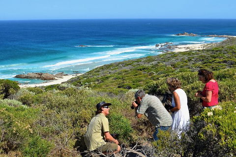Margaret River Coastal And Wildlife Eco Trip From Busselton Or Dunsborough - SA Accommodation 2