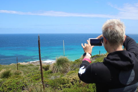 Margaret River Coastal And Wildlife Eco Trip From Busselton Or Dunsborough - SA Accommodation 3