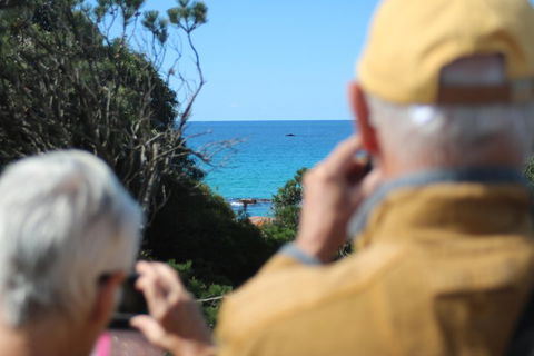 Margaret River Coastal And Wildlife Eco Trip From Busselton Or Dunsborough - SA Accommodation 5